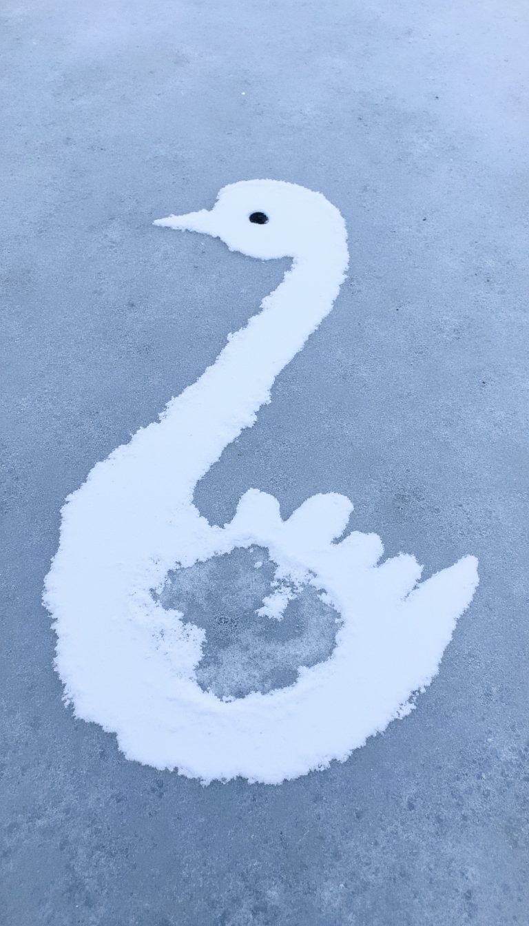 12. The Elegant Swan on a Frozen Lake