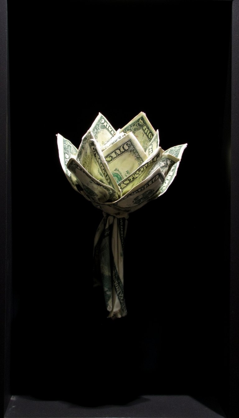 15. The Floating Bloom in a Shadow Box