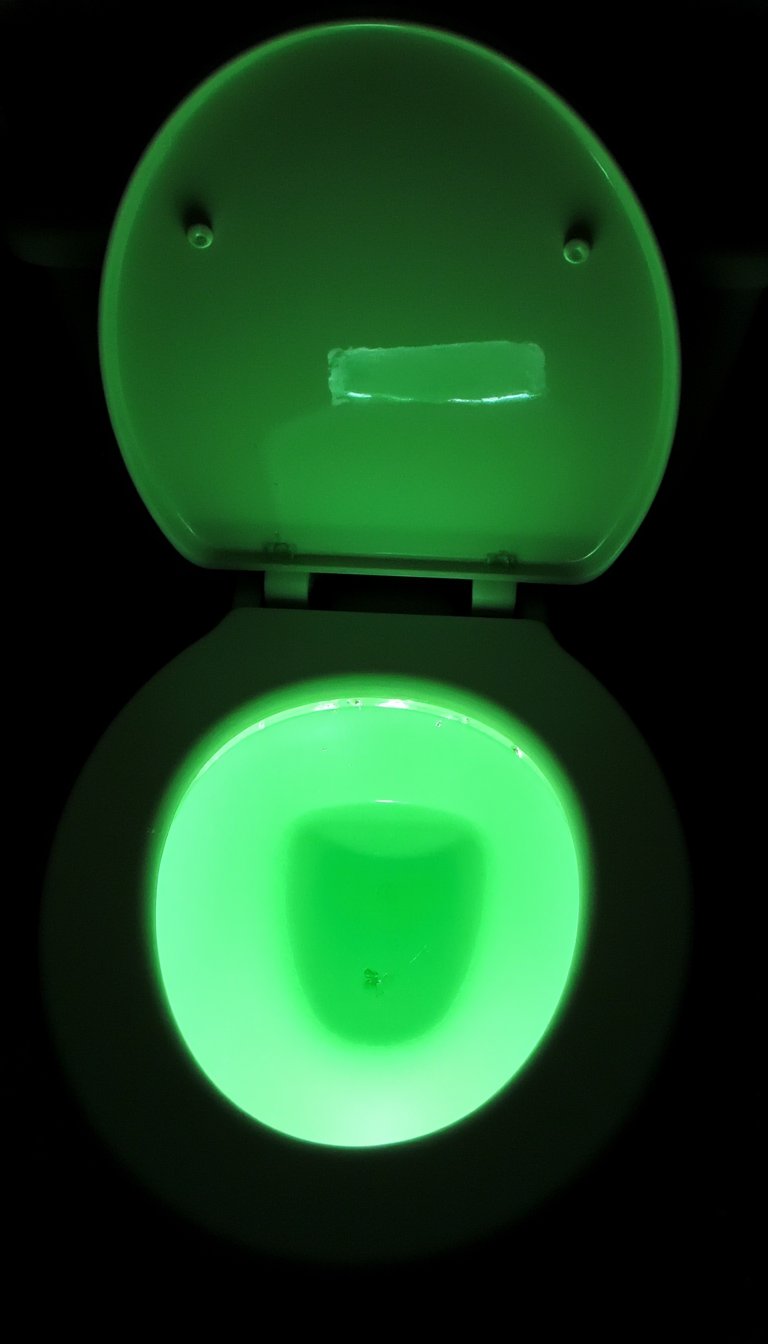 1. The Toilet Green-ade Fountain