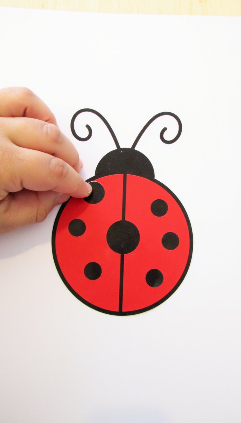 13. Ladybug Dot Sticker Activity