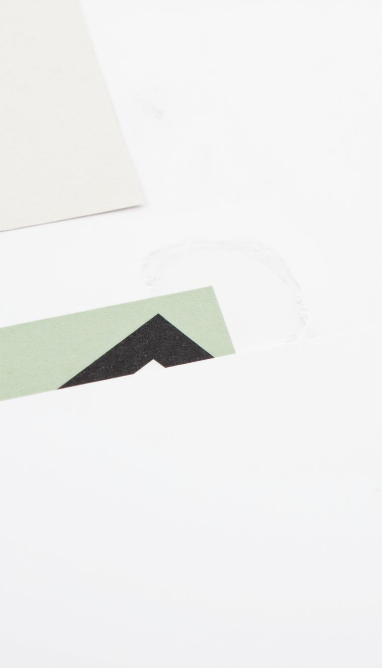 1. The Minimalist Muse