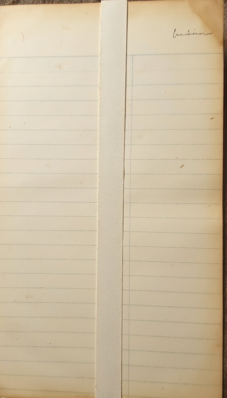 16. The "One Sentence a Day" Pocket Log
