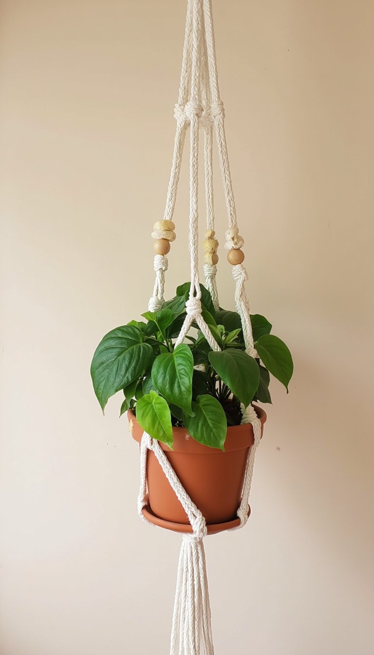 26. Hanging Plant Holder with Beaded Accents