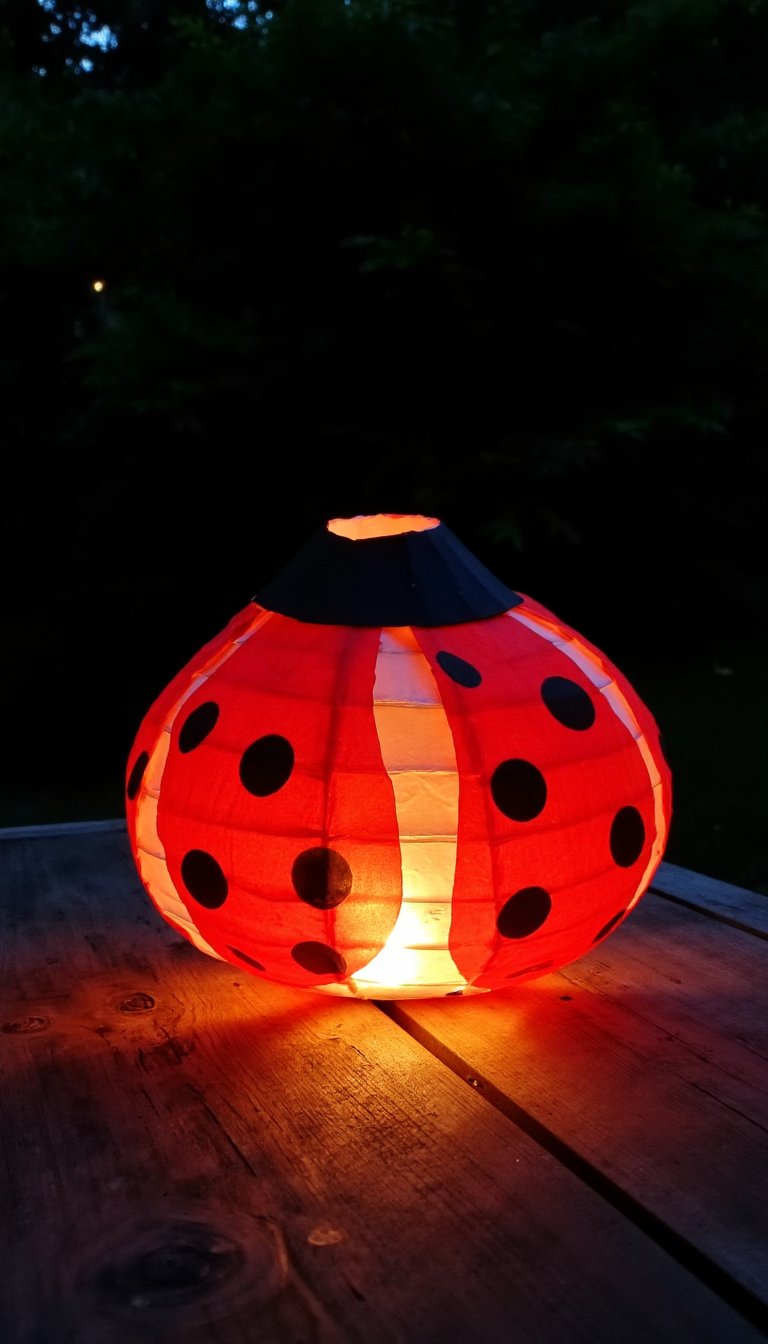 25. Glowing Ladybug Paper Lantern